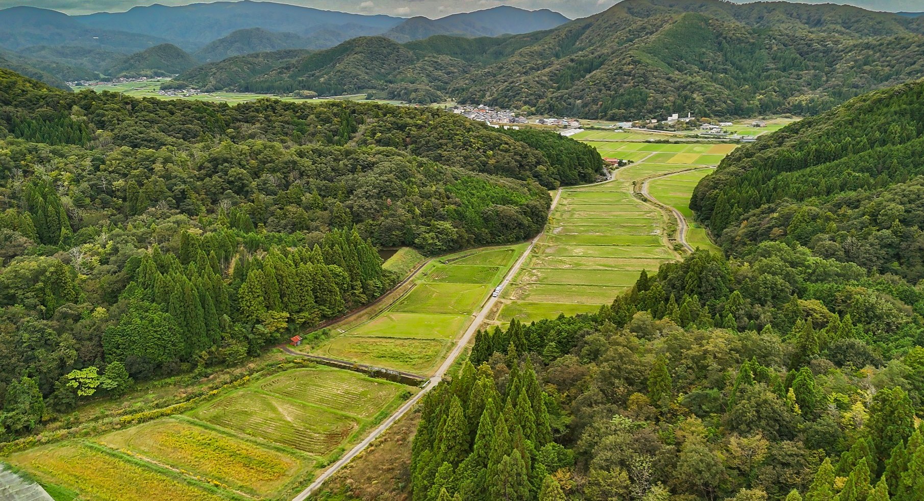 京阪米穀が仕入れる産地の里山と田んぼの風景