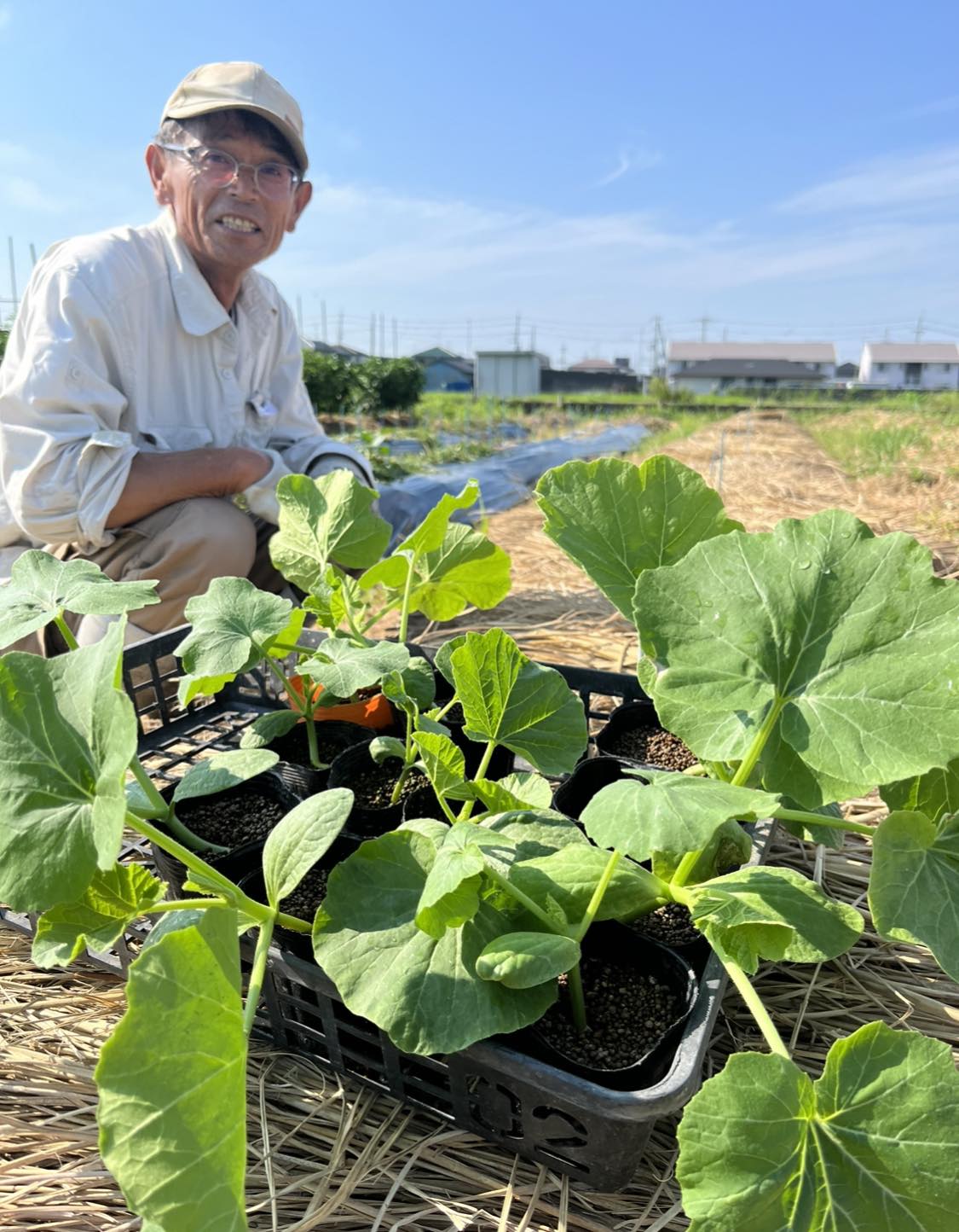 2月の野菜販売日