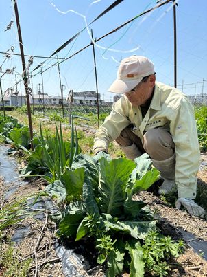 12月15日は今年最後のお野菜販売です🥗　～大阪　寝屋川　お米屋さん～