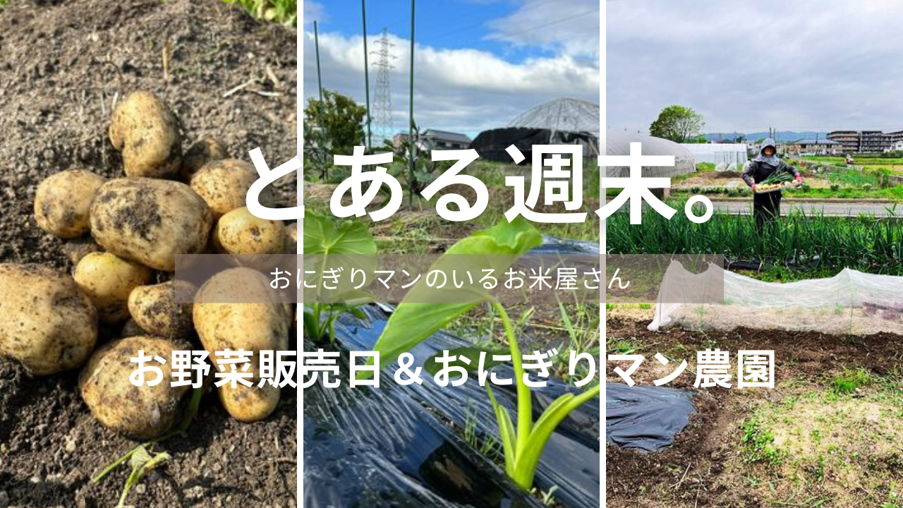 YouTube最新動画「とある週末。」を配信しました✨　～大阪　寝屋川　お米屋さん～