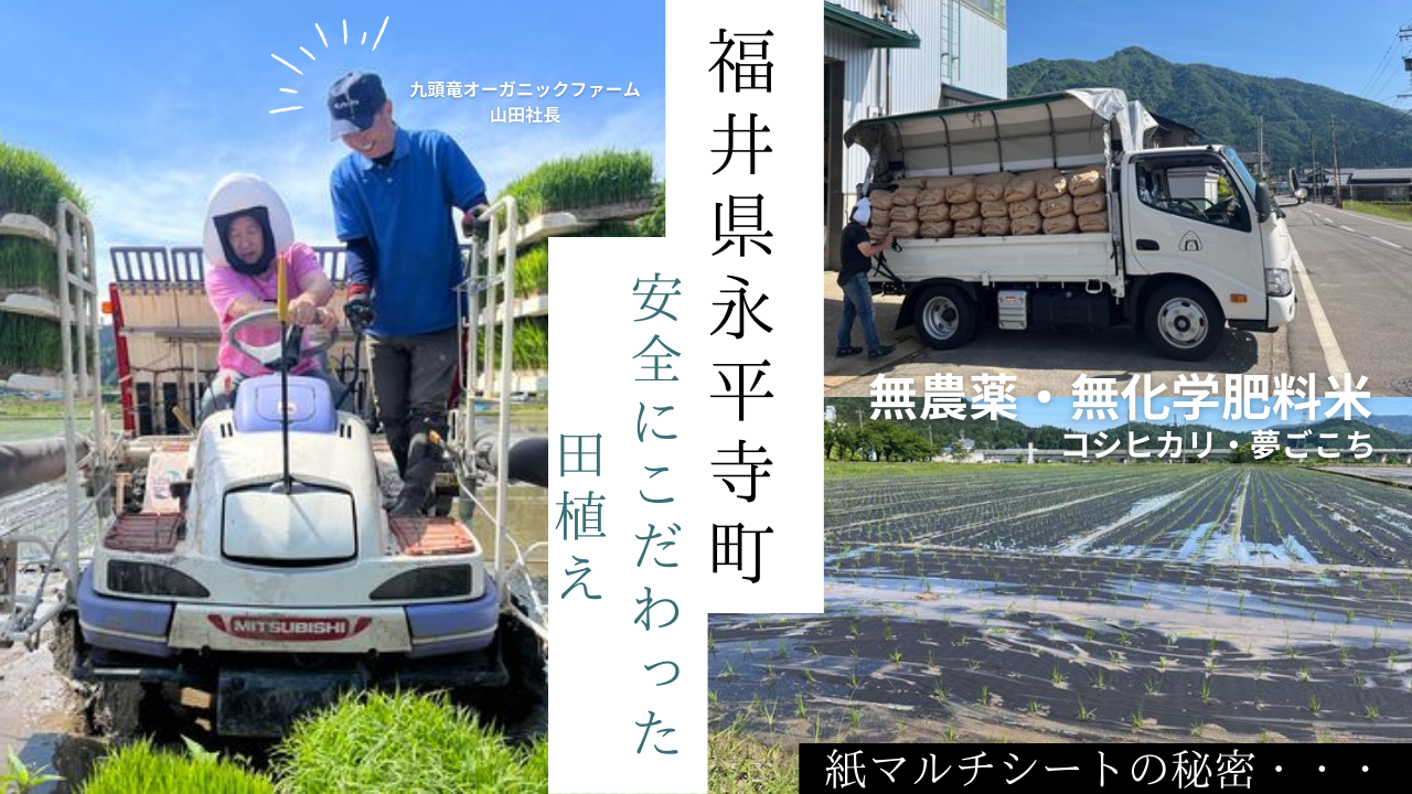 「福井県永平寺町」YouTube動画をアップしました！　～大阪　寝屋川　お米屋さん～