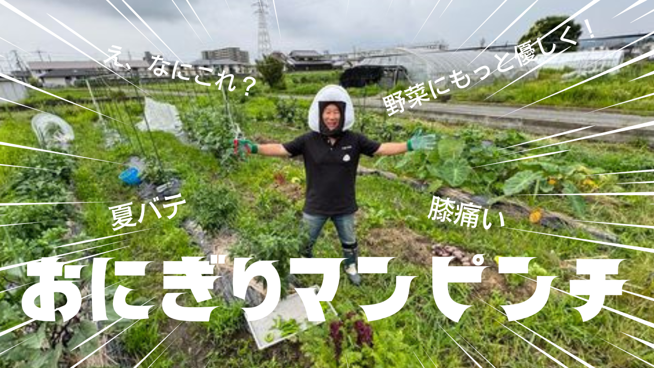 大丈夫か？野菜の知識は小学生レベル！？おにぎりマン農園で慣れない作業に挑戦！　～大阪　寝屋川　お米屋さん～