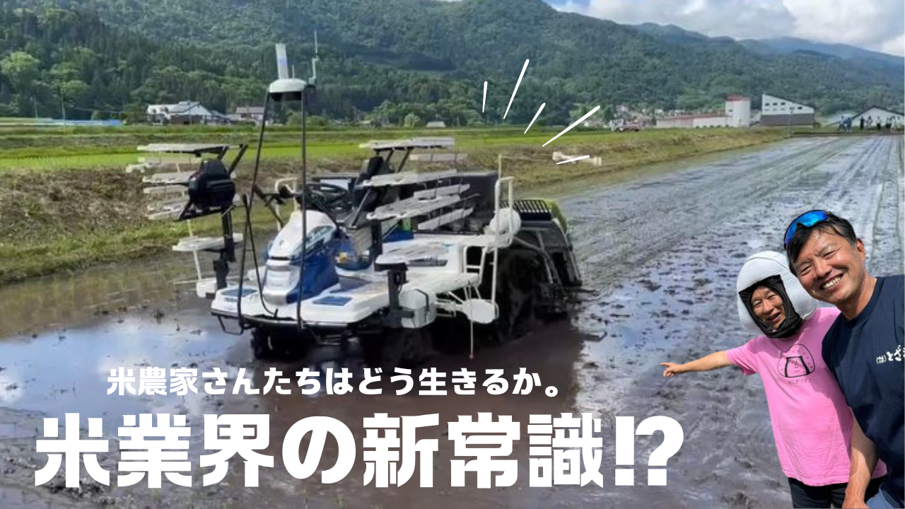 米業界の新常識！米農家さんたちはどう生きるか。～大阪　寝屋川　お米屋さん　ネオニコフリー～