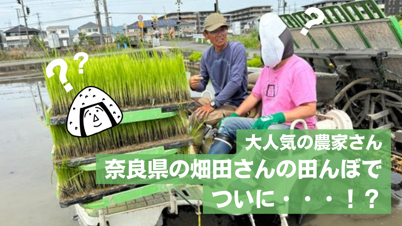 新しいYouTube動画を配信中！　～大阪府　寝屋川市　お米屋さん　ネオニコフリー～