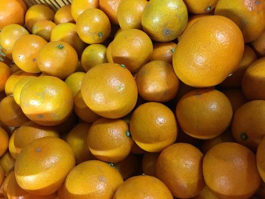 味が濃い！庄田果樹園さんの減農薬みかん🍊販売中！　～大阪　寝屋川　お米屋さん～