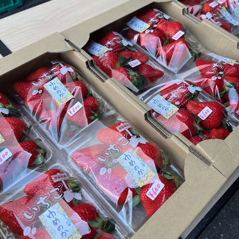 次回のお野菜販売は３月16日(日)🥗　~大阪　寝屋川　お米屋さん～