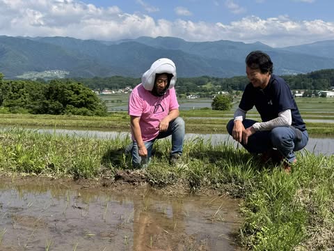 長野県飯山市　風さやかの田んぼ見学🌱　