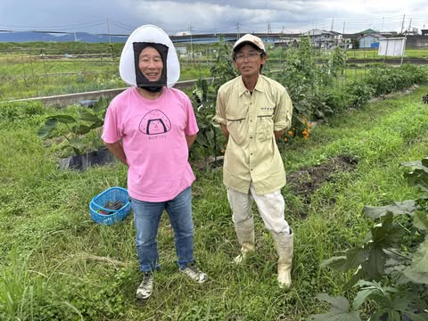 本日も少しだけ販売しています(農薬不使用野菜)