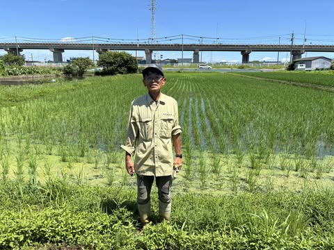 ８月のお野菜直売日は24日です(#^^#)　～大阪　寝屋川　お米屋さん～