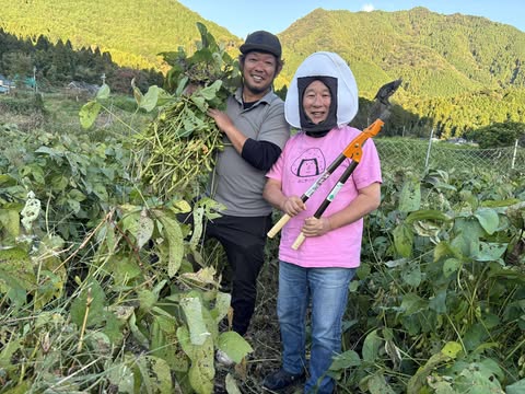 【丹波黒枝豆のおいしい茹で方】黒枝豆販売中！　～大阪　寝屋川　お米屋さん～