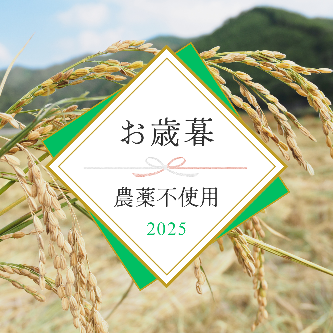 お歳暮ご予約承ります！　～大阪　寝屋川　お米屋さん～