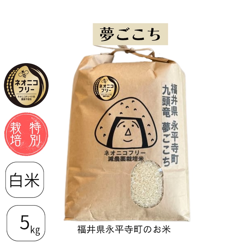 福井県永平寺町九頭竜夢ごこち