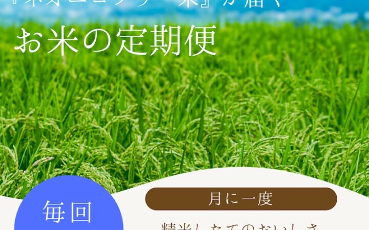 長野県飯山市 定期便幻の米コシヒカリ(特別栽培)