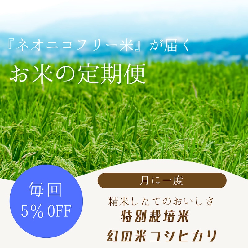 長野県飯山市 定期便幻の米コシヒカリ(特別栽培)