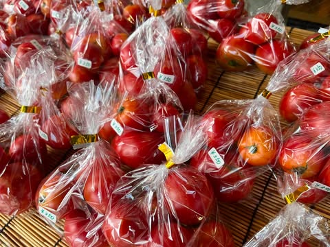 昨日の野菜販売でご好評いただいた新鮮野菜を、本日も引き続き販売しています！