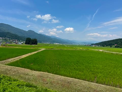 生産者さんに会いに。～長野県飯山市のお米仕入れ～