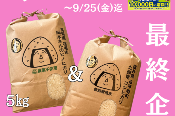 お米ＰＡＹ最終企画開始！9/10～9/25迄