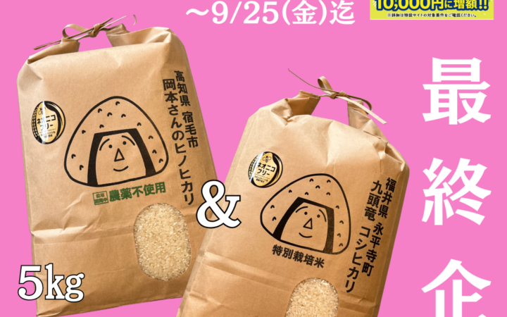 お米ＰＡＹ最終企画開始！9/10～9/25迄