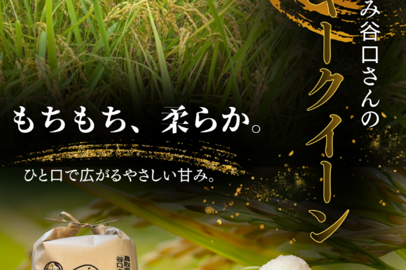 新米販売中🌾もっちり、つやつや！鳥取県・谷口さんのミルキークイーン