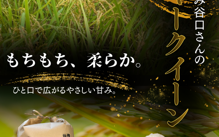 新米販売中🌾もっちり、つやつや！鳥取県・谷口さんのミルキークイーン